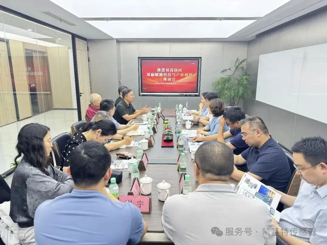 企业动态 | 民革淮安市委会莅临凯基特参观交流