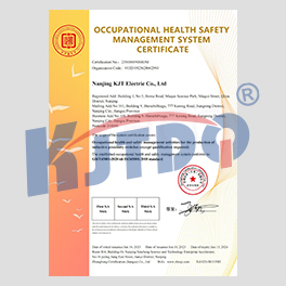 OCCUPATIONAL HEALTH